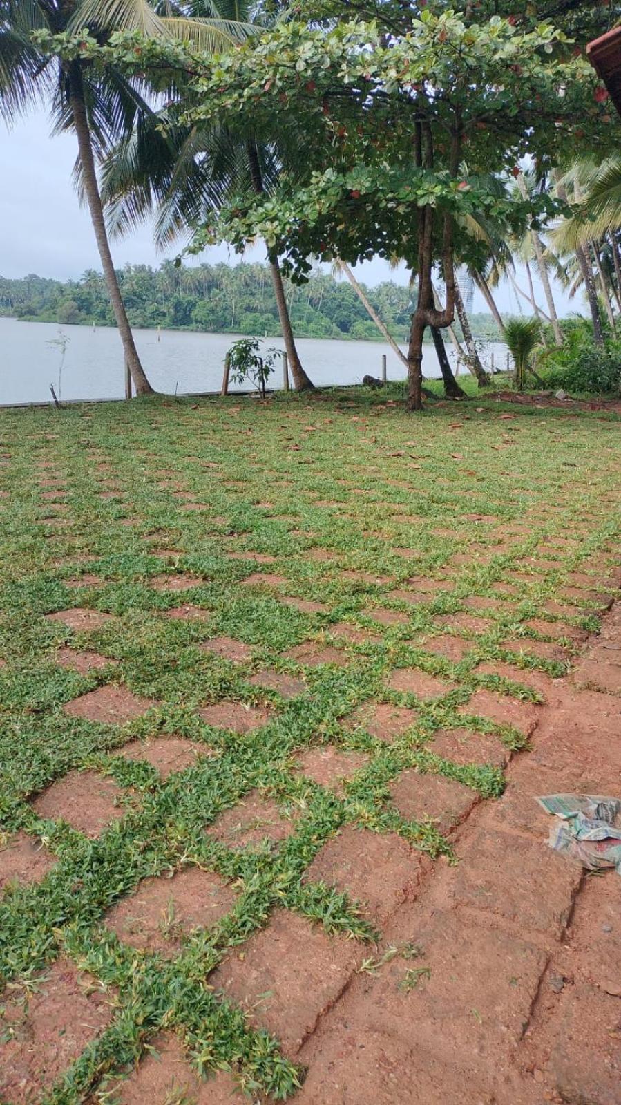 Villa Whispering Waters Kozhikode Exterior foto
